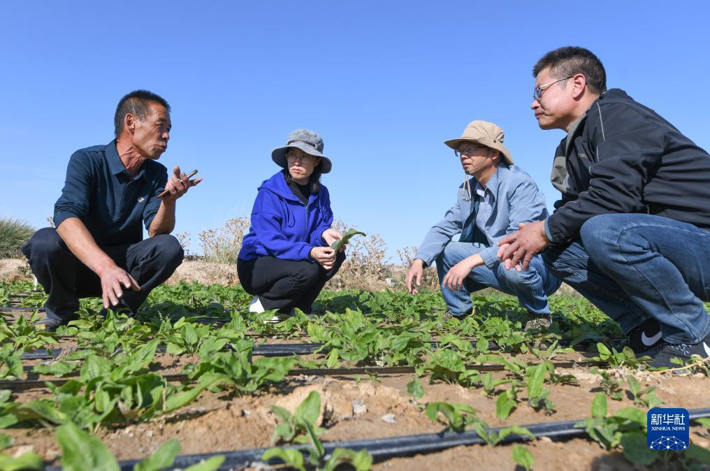 德赢客户端下载