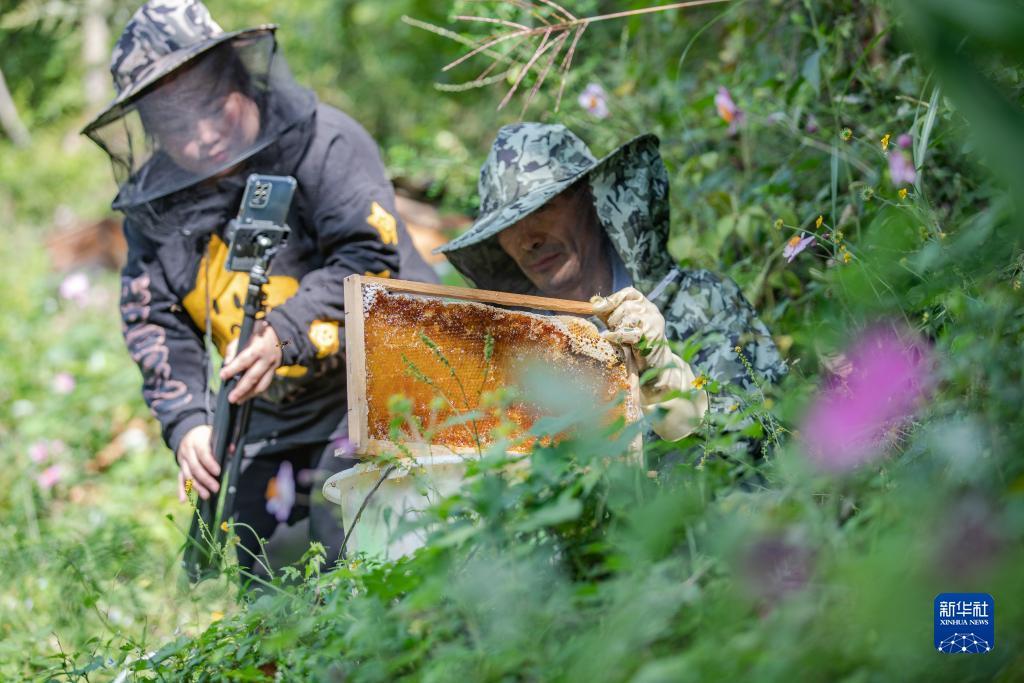 中易通棋牌网